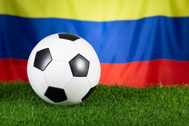 公司位置示意图